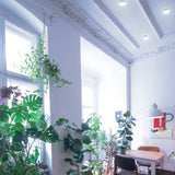 KIT DE 2 PIEZAS DE EXT PLAFONES LED 24W127V6500K NEGRO NENQUE II