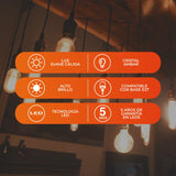 KIT DE 6 PIEZAS DE FOCO LED TECNOLITE VINTAGE ATENUABLE 3.5W LUZ SUAVE CÁLIDA BASE E27 FILAMENTO VERTICAL