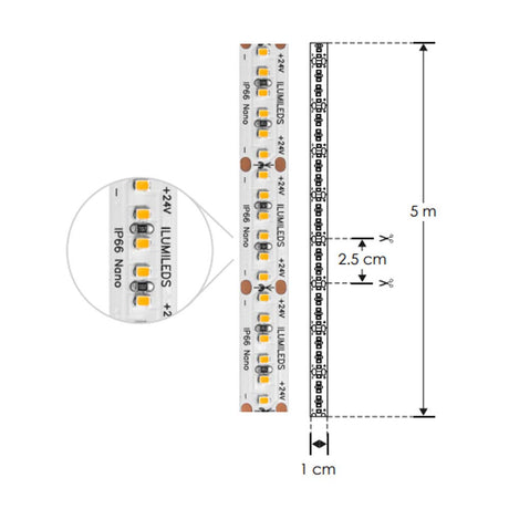 TIRA EXTRAPLANA DE LED 2216 5 MTS C/240 LEDS BLANCO 19.2W OPTICA 120 24V IP66