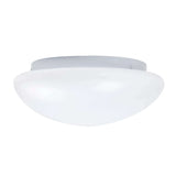 LÁMPARA DE INTERIOR LED AUSTRAL TECNOLITE PARA SOBREPONER 12W LUZ SUAVE CÁLIDA