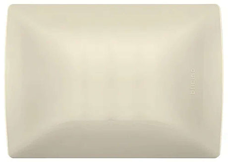 PLACA DE RESINA BTICINO CON CHASIS MARFIL CIEGA QZ4803M0MA ***HAE 2023***