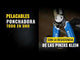 MULTIHERRAMIENTA PONCHADORA/CORTADORA/PELACABLES ALTA RESISTENCIA 8-20AWG KURVE KLEIN TOOLS