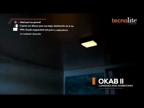 LAMPARA PLAFON LED TECHO 15 W LUZ DE DIA IP54 IK05 INTERIOR Y EXTERIOR LED INTEGRADO 15PTLLED1131CV65N
