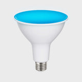 FOCO LED TECNOLITE PAR38 13W LUZ AZUL BASE E27