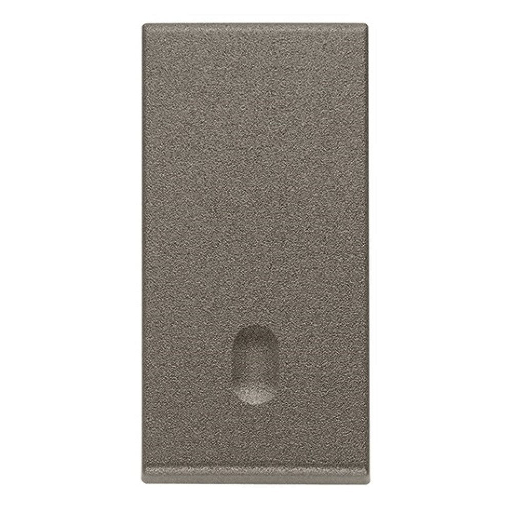 TECLA INTERCAMBIABLE 1 MOD. ILUMINABLE METAL ARKE VIMAR