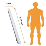 LEDVANCE DAMP PROOF LED PFM 36W/865 100-277V