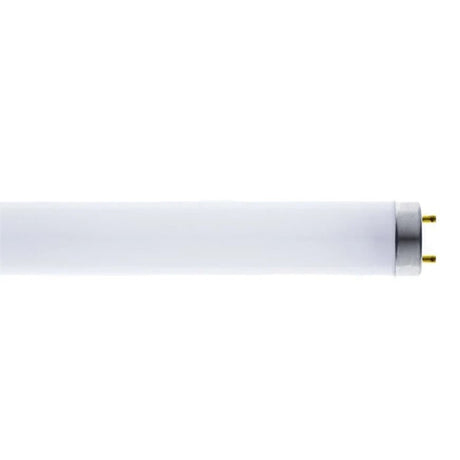 TUBO FLUORESCENTE LUZ NEGRA SIN FILTRO 15W T8