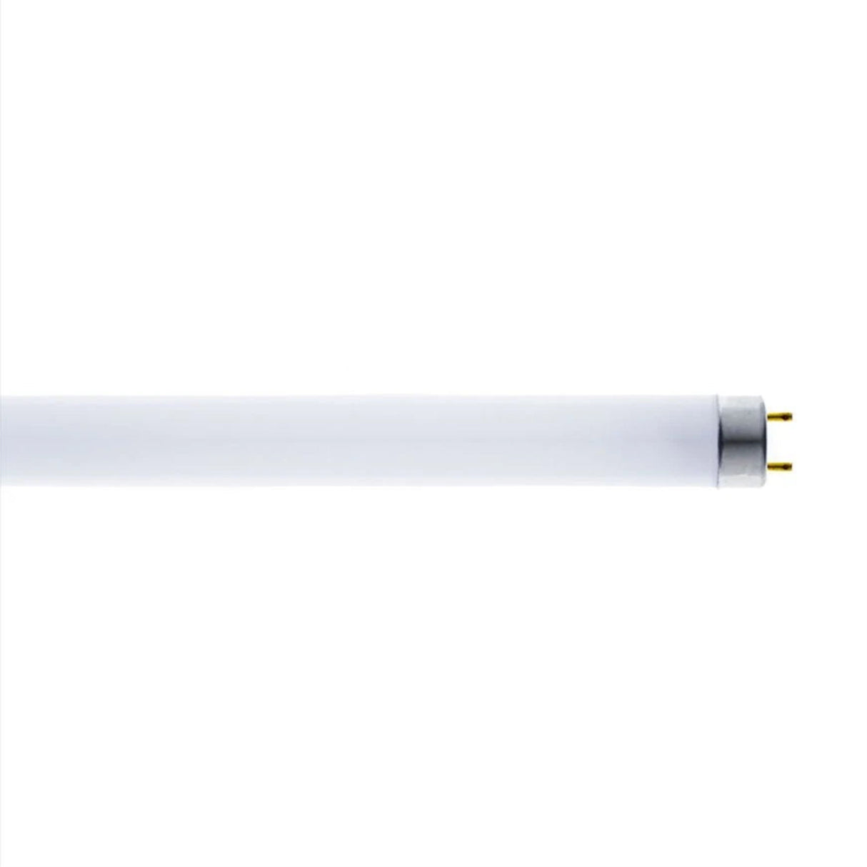 TUBO FLUORESCENTE LUZ NEGRA 20W T8 SIN FILTRO
