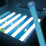 TUBO FLUORESCENTE LUZ NEGRA SIN FILTRO 8W T5
