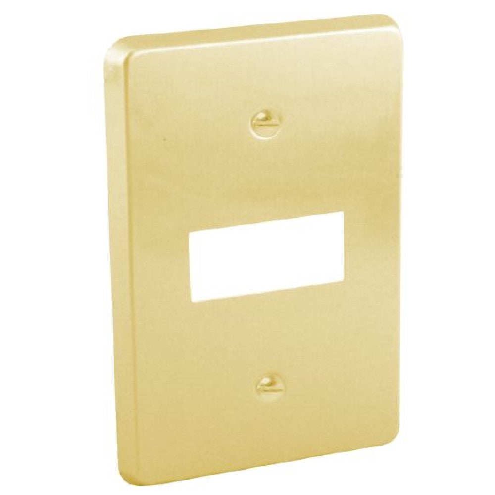 PLACA DE ALUMINIO DORADO 1 MODULO CON CHASIS WD3361 ROYER