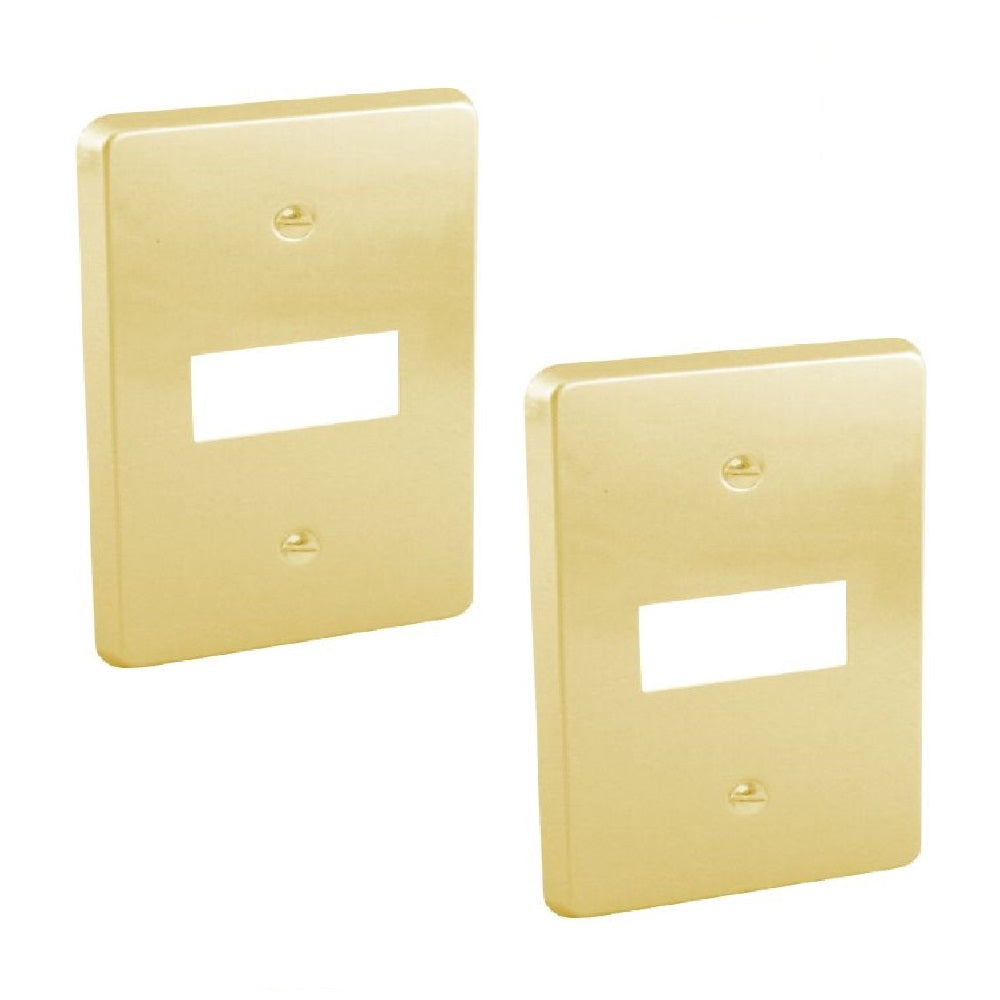 PLACA DE ALUMINIO DORADO 1 MODULO CON CHASIS WD3361 ROYER