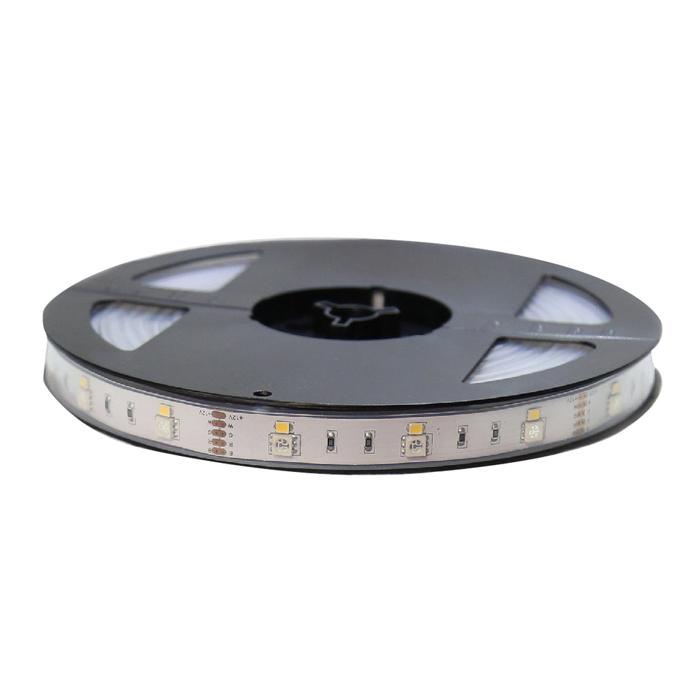 TIRA FLEXIBLE DE LED RGB 48W 12V IP67  LUZ DE DIA