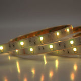 TIRA FLEXIBLE DE LED RGB 48W 12V IP67  LUZ DE DIA
